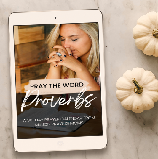 Proverbs Prayer Calendar
